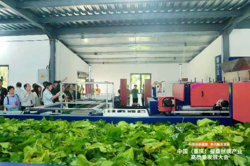 300多名专家学者和行业大咖齐聚重庆。重庆市商务委供图