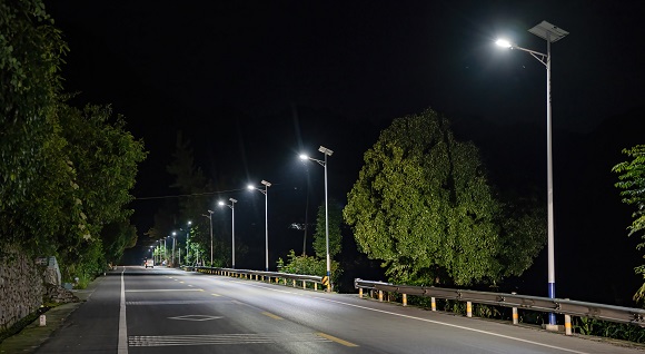 319公路沿线安装好的路灯。通讯员 陆显德 摄