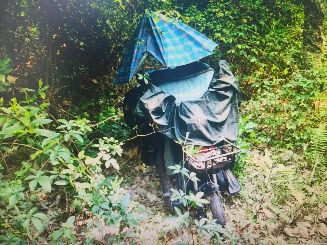海南澄迈橡胶林白骨男尸身份查明，系在逃19年的贪污受贿嫌疑人1