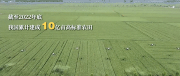 微视频｜牢牢守住这条红线，习近平再三强调8