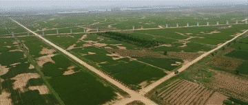 微视频｜牢牢守住这条红线，习近平再三强调5