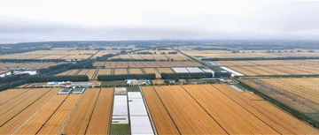 微视频｜牢牢守住这条红线，习近平再三强调2