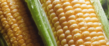 微视频｜牢牢守住这条红线，习近平再三强调1