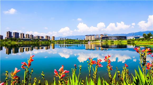 三合湖湿地公园初夏美景。通讯员 龚长浩 摄