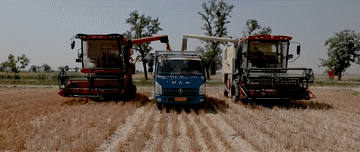 微视频｜牢牢守住这条红线，习近平再三强调6