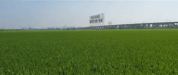 微视频｜牢牢守住这条红线，习近平再三强调3