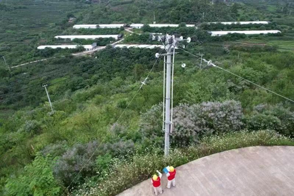 国网重庆丰都供电公司员工正在保家寺村巡检线路。 通讯员  陈斌 摄