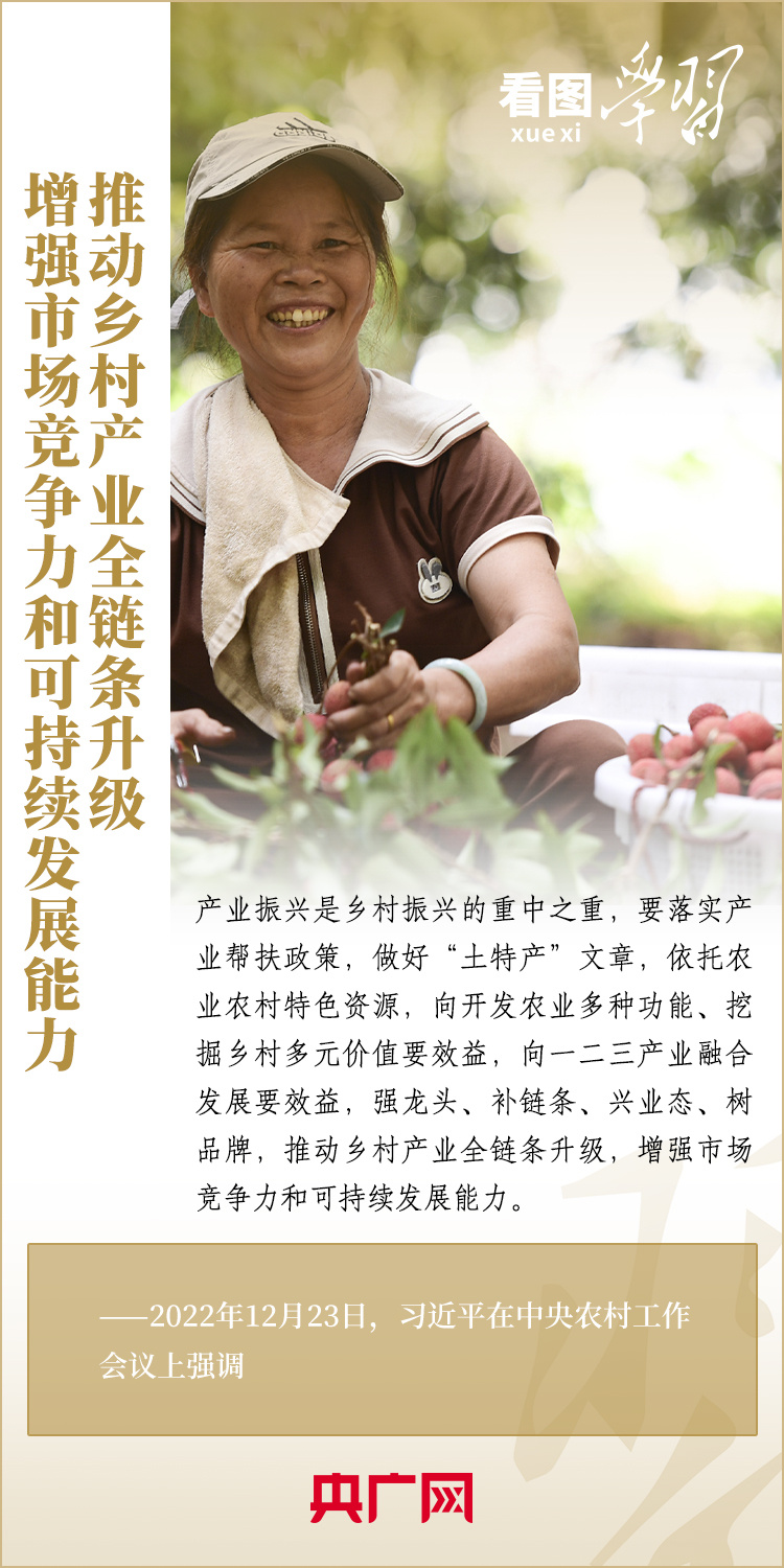 看图学习·乡村之美丨千方百计拓宽农民增收致富渠道4