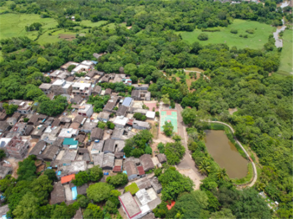 6月26日拍摄的七里村景色（无人机照片）。新华社记者 樊雨晴 摄