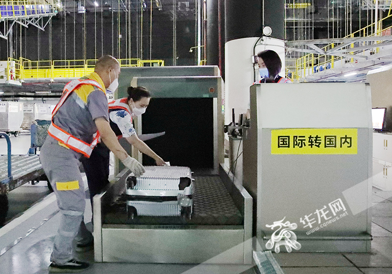 重庆江北国际机场国际通程业务实现行李直挂，旅客无需在中转地提取行李，行李中转由机场完成。华龙网-新重庆客户端记者 张质 摄