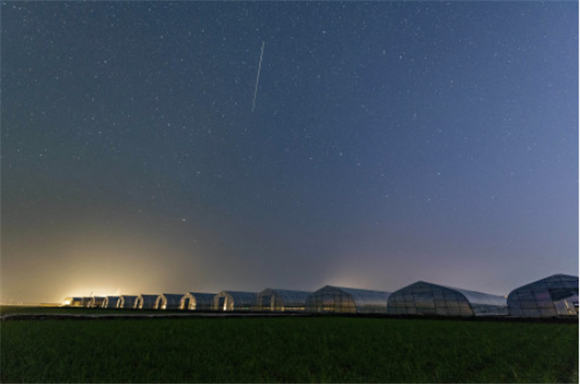 这是6月26日凌晨在黑龙江省富锦市万亩水稻公园内拍摄的稻田和星空（长时间曝光）。新华社记者 谢剑飞 摄
