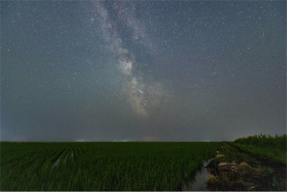 这是6月25日夜晚在黑龙江省富锦市万亩水稻公园内拍摄的稻田和星空（长时间曝光）。新华社记者 石枫 摄