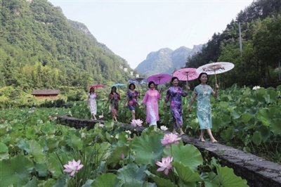 游客在十三寨荷田里走旗袍秀。记者 杨敏 摄
