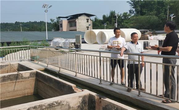 镇纪委干部检查村污水处理池项目建设情况。通讯员 赵武强 摄