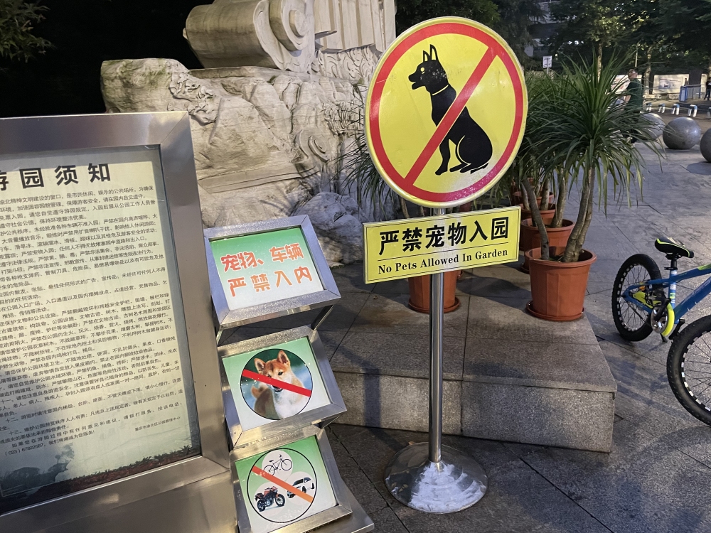 养犬条例正式实施，记者接连两日街头打探——仍有市民携犬只进入禁止场所2