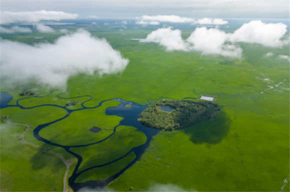这是6月29日拍摄的黑龙江扎龙国家级自然保护区景色（无人机照片）。新华社记者 张涛 摄