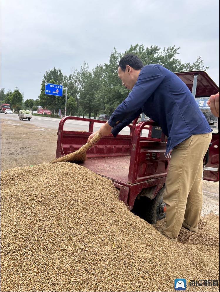 河南“雨口抢粮”记：南阳麦收基本结束，农民无奈接受芽麦13