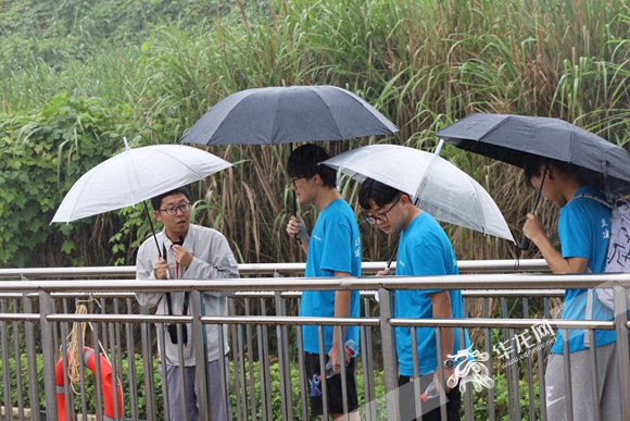 淅沥小雨中，同学们撑伞参观设施。华龙网-新重庆客户端 董静 摄