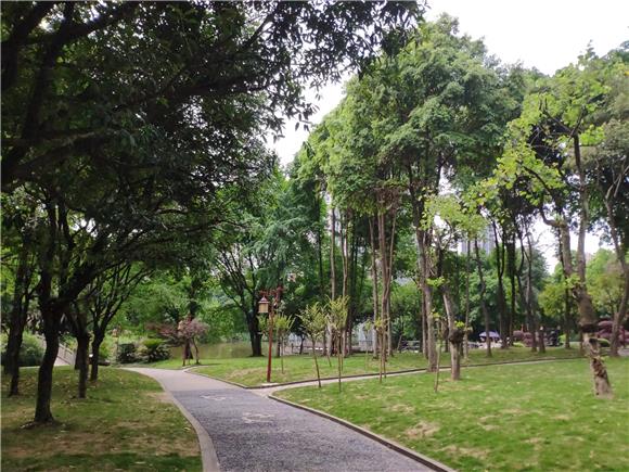 绿树成荫的凉意享清凉，郁郁葱葱的树木，让公园变得更有活力。通讯员 范永根 摄