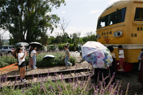 6月3日，游客在建水小火车乡会桥站拍照。新华社记者 兰红光 摄