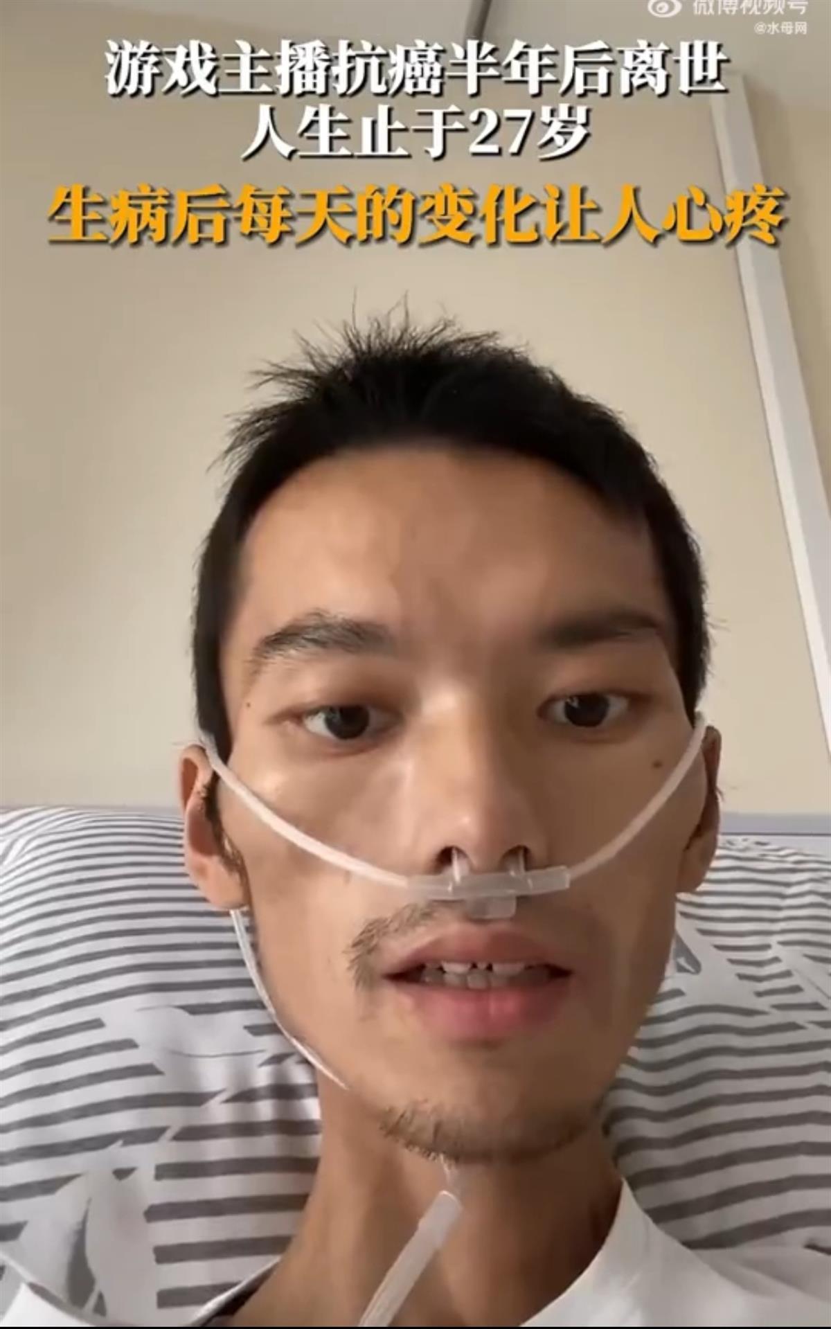 未命名图片3
