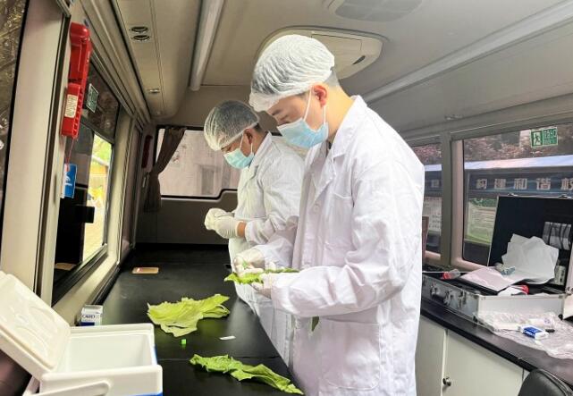 区市场监管局食品安全快检员对提取的蔬菜样品现场进行农药残留检测。记者 聂灵灵 摄