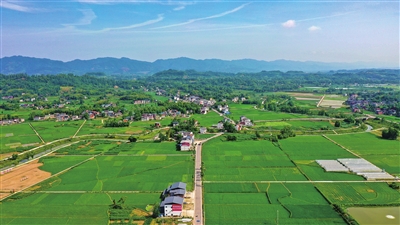 4仁贤街道仁贤村，错落有致的农舍与绿色的稻田，勾勒出一幅美丽的乡村画卷。记者 熊伟 摄
