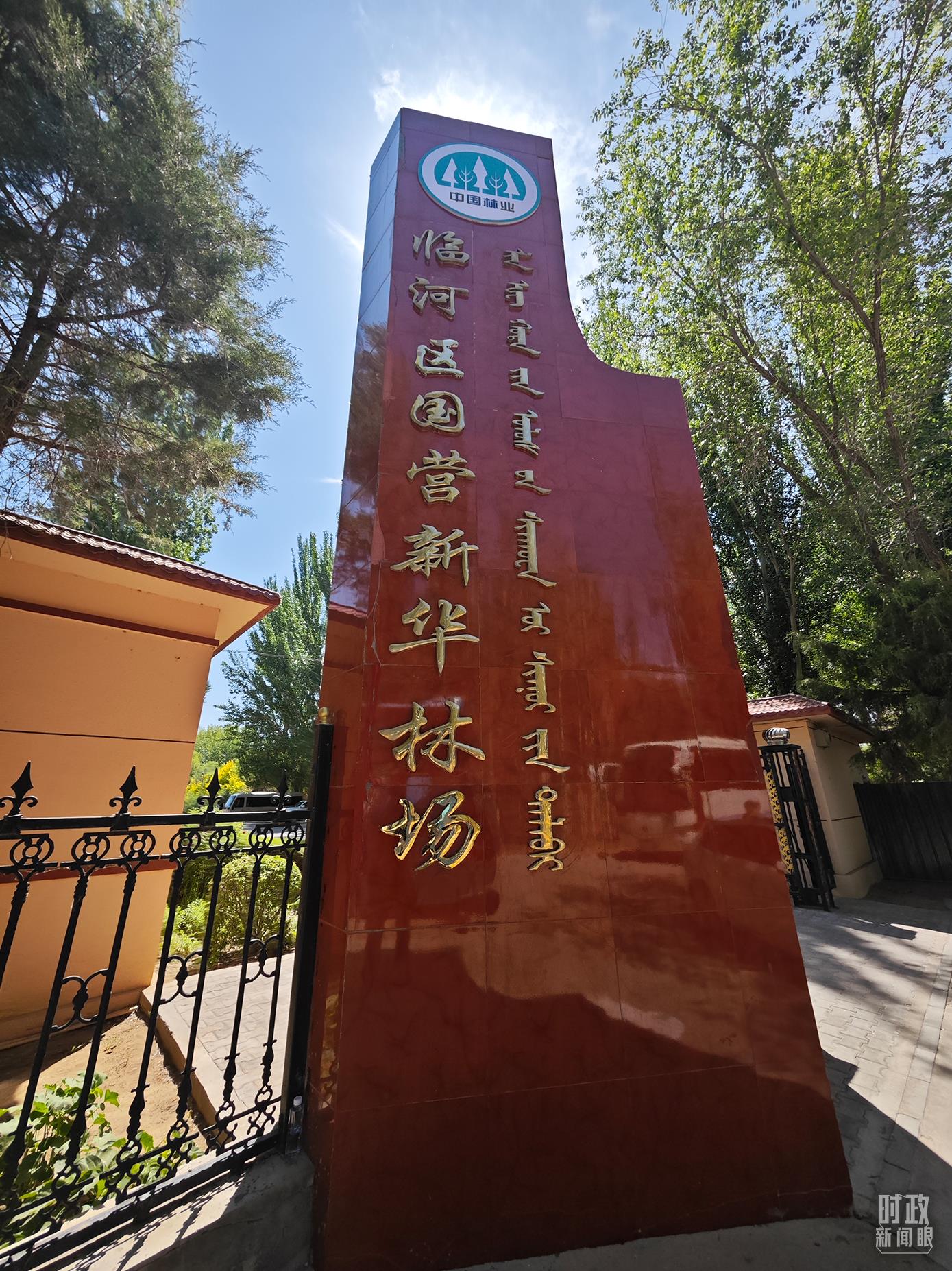 时政新闻眼丨在这场座谈会上，习近平部署打好“三北”工程攻坚战9
