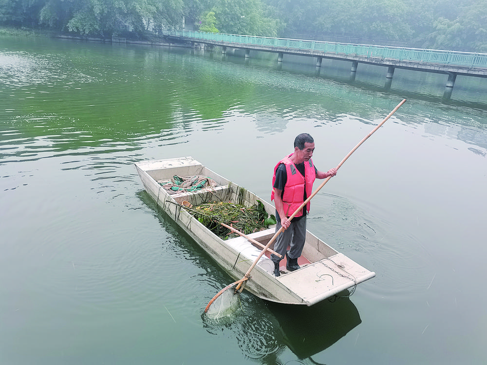 巨蟒戏水？ 治污神器！ 