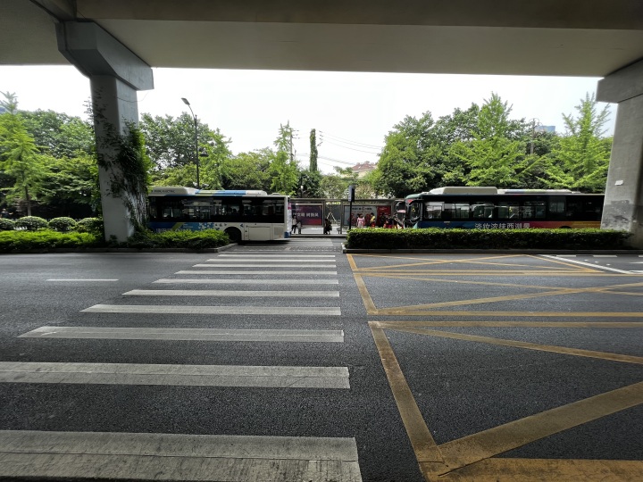 @驾驶员和行人，遇到这样的顶配斑马线，你会走吗？3