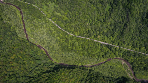7月8日，游客乘坐观光车在六盘山国家森林公园游玩（无人机照片）。新华社记者 冯开华 摄