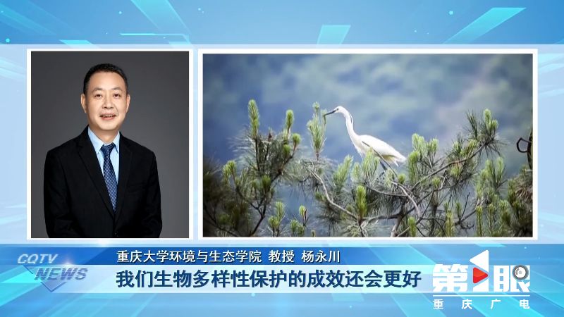 重庆第1眼 | 一座城与四座山 对话和共生11