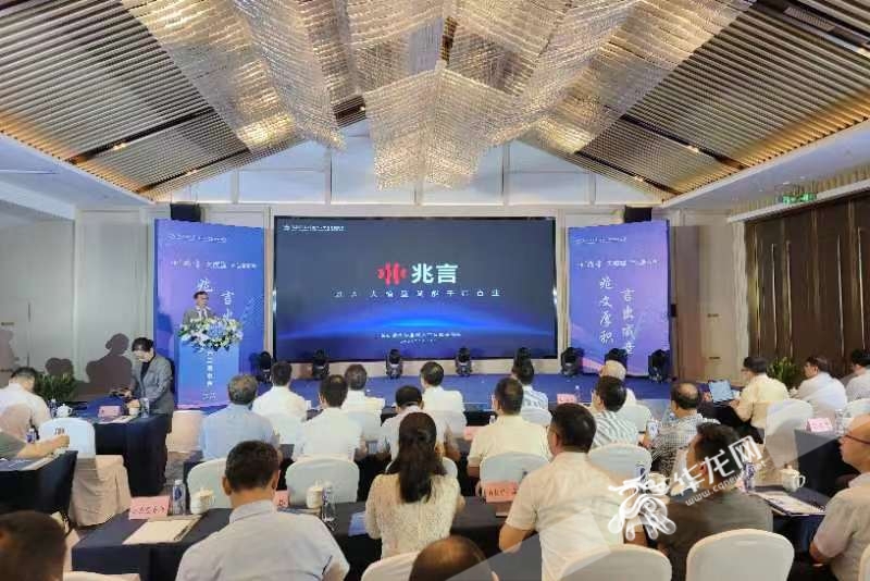 “兆言”大模型产品在重庆发布。华龙网-新重庆客户端记者 石涛 摄