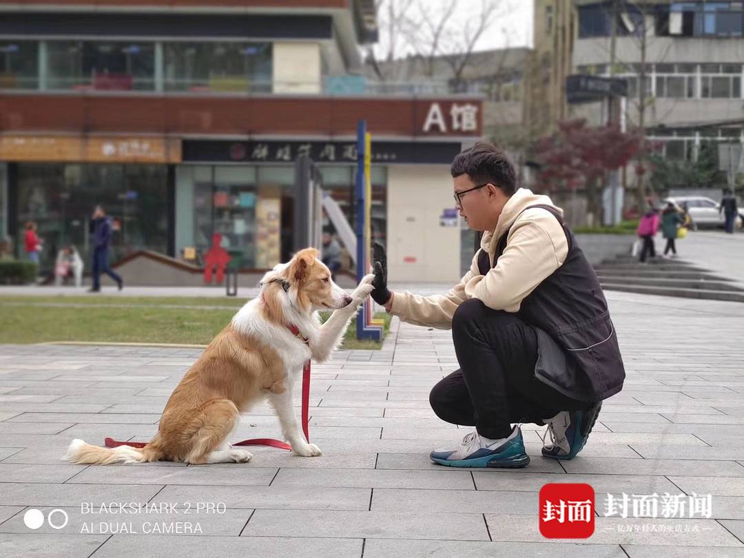 90后“社恐男”转行“犬类行为调整师”：月入上万还能和最爱的汪星人打交道1