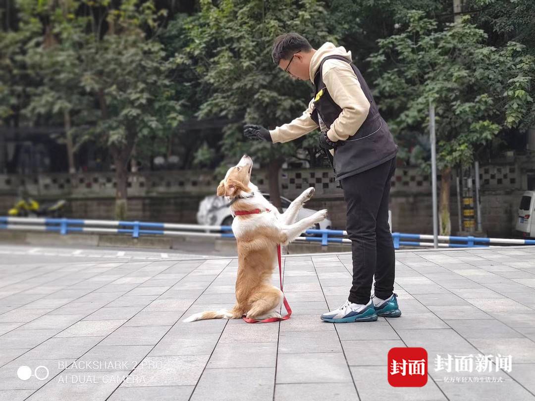 90后“社恐男”转行“犬类行为调整师”：月入上万还能和最爱的汪星人打交道4
