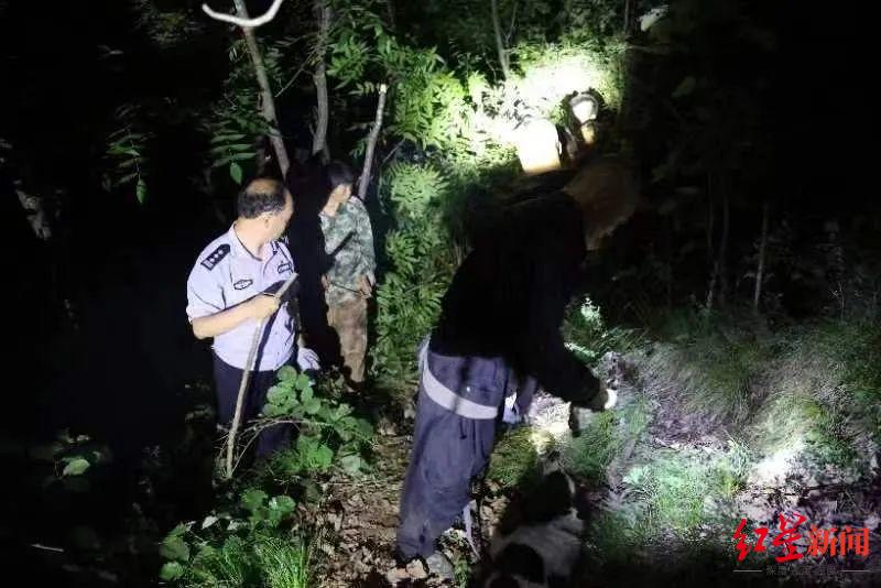 警方披露陕西2岁男童走失6天细节：在家附近山上找到 找寻初期“时间差”导致未能及时发现踪迹3