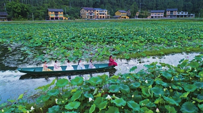 Visitors are rowing a boat in the lake. (Photo provided by reporter Liao Xingchen) 