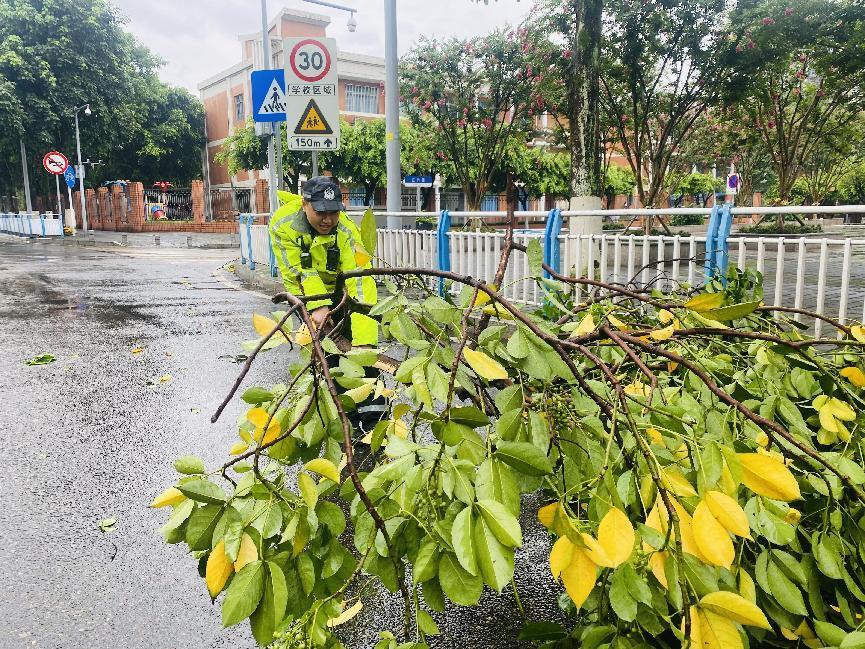 民警清理树枝。警方供图