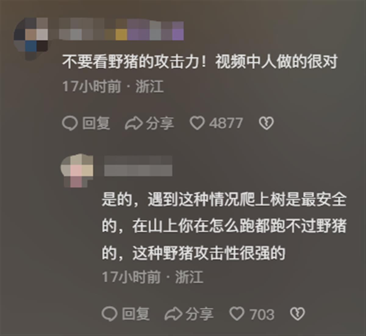 男子采山货遇大野猪，爬上树才躲过攻击，当事人：它獠牙有手指长3