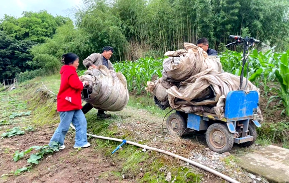 村民的废弃农膜由江北区废弃农膜回收储运中心统一回收，进行无害化处理。江北区供销社供图 华龙网发