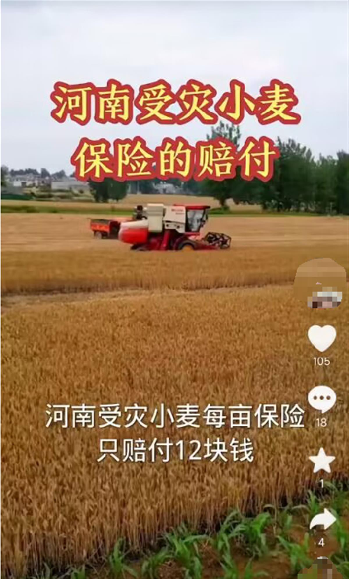 河南西平多名受灾小麦种植户称保险赔付每亩仅约20元，当地称已关注到此事，保险公司未回应1