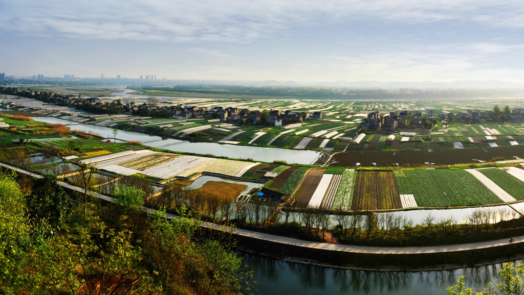 （图2）重庆农商行支持潼南打造“西部绿色菜都”，图为潼南双坝蔬菜基地