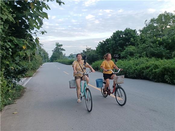在宽畅平坦的公路惬意骑着自行车赶往城区上班。特约通讯员 蒋文友 摄
