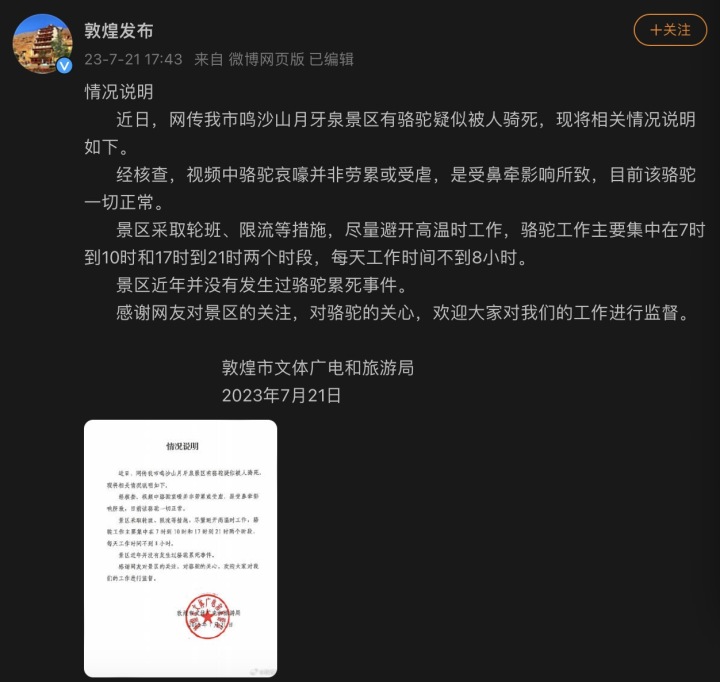 敦煌骆驼忙到“累瘫”？业内人士：拉两年骆驼能赚一套房2