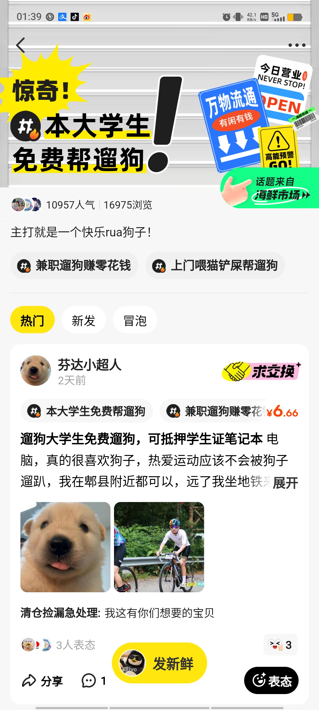 闲鱼发布代遛狗城市热度图,超10万人在闲鱼蹲狗遛,供不应求是常态2