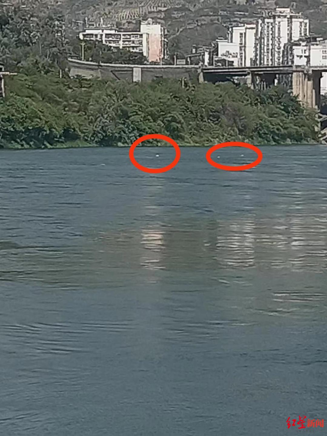 四川一泳协秘书长跳江救人不幸遇难：事前告诉妻子去救人，曾救过多人4