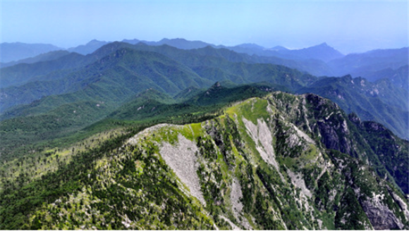 陕西朱雀国家森林公园内的景色（7月21日摄，无人机照片）。新华社记者 刘潇 摄