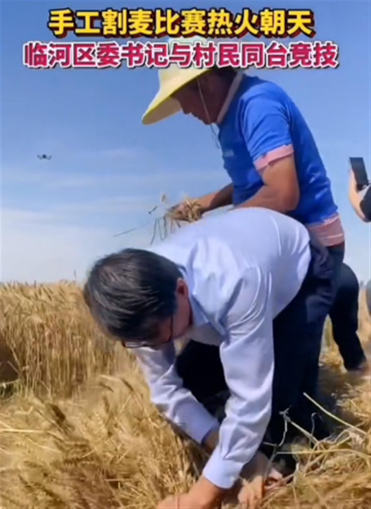 内蒙古一区委书记与村民比赛手工割麦子爆红，网友称赞：手法太娴熟了，接地气！1