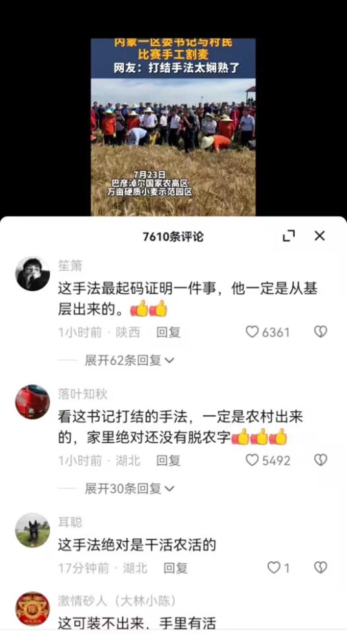 内蒙古一区委书记与村民比赛手工割麦子爆红，网友称赞：手法太娴熟了，接地气！4