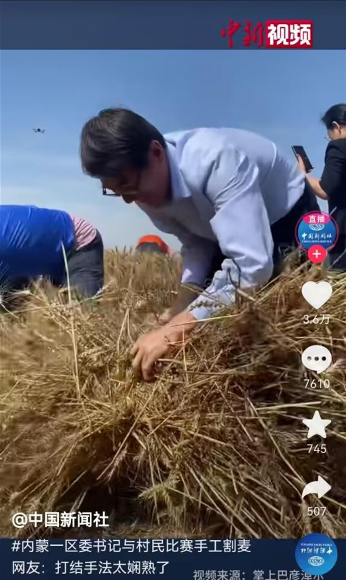 内蒙古一区委书记与村民比赛手工割麦子爆红，网友称赞：手法太娴熟了，接地气！3